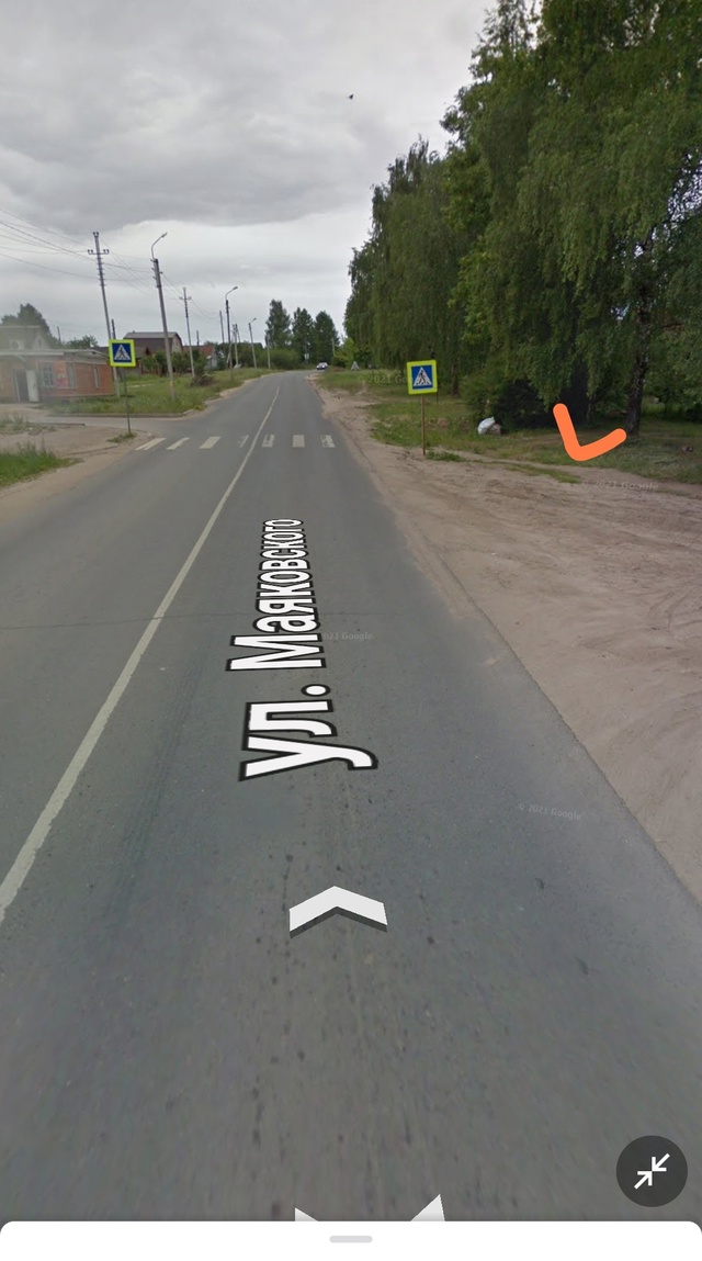 На ул. Маяковского недалеко от дороги лежит мертвый ко?...