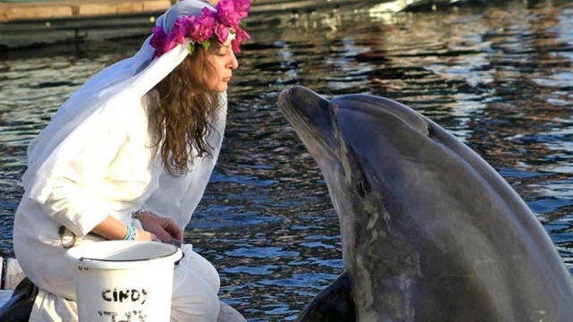 В 2006 году 41-летняя англичанка вышла замуж за дельфина, ?...