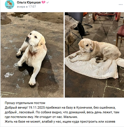 Пост добра. Распространите, пожалуйста.