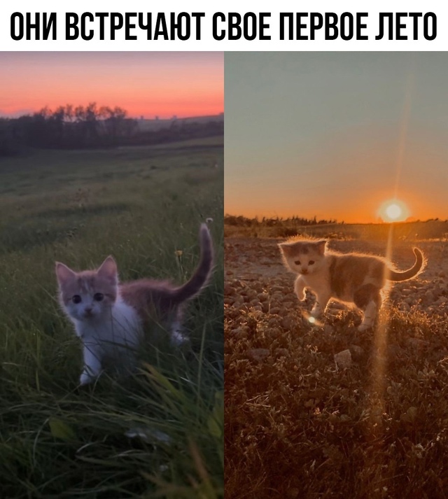 Маленькие прелести