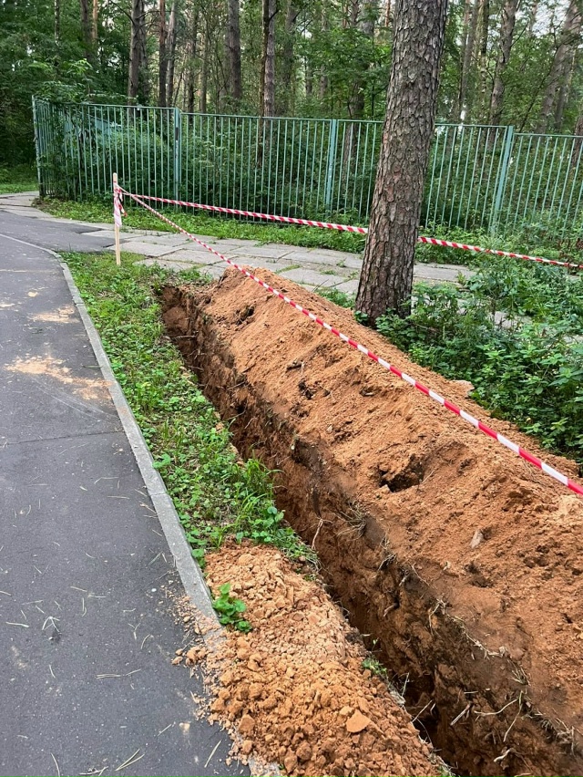В лесу, за забором 3-й школы, делают новое освещение👍 у?...