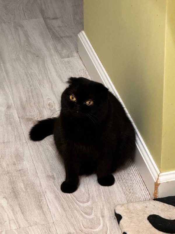 Если долго вглядываться в бездну, то бездна начнет вглядываться в тебя