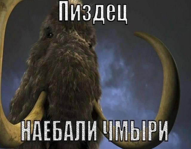 это я после покупки какой-то вещи иду смотреть на нее отзывы и вижу один отрицательный из 5000 полож