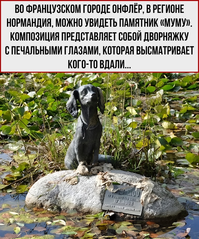 Русская классика во французской глубинке.