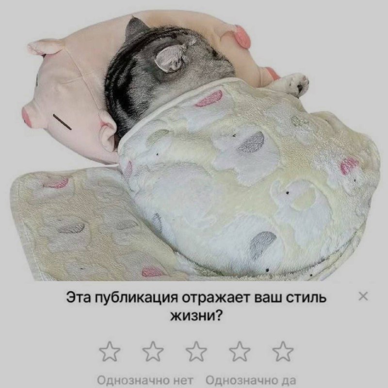 Ночная подборочка
Спать, режим