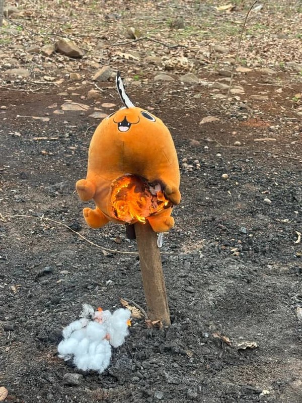 Фанат, разгневанный концовкой «Человека-бензопилы», сжег свою плюшевую Почиту😣