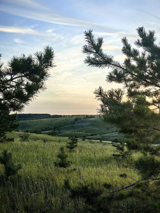 Река Елшанка 🌿
📸 Ловец историй