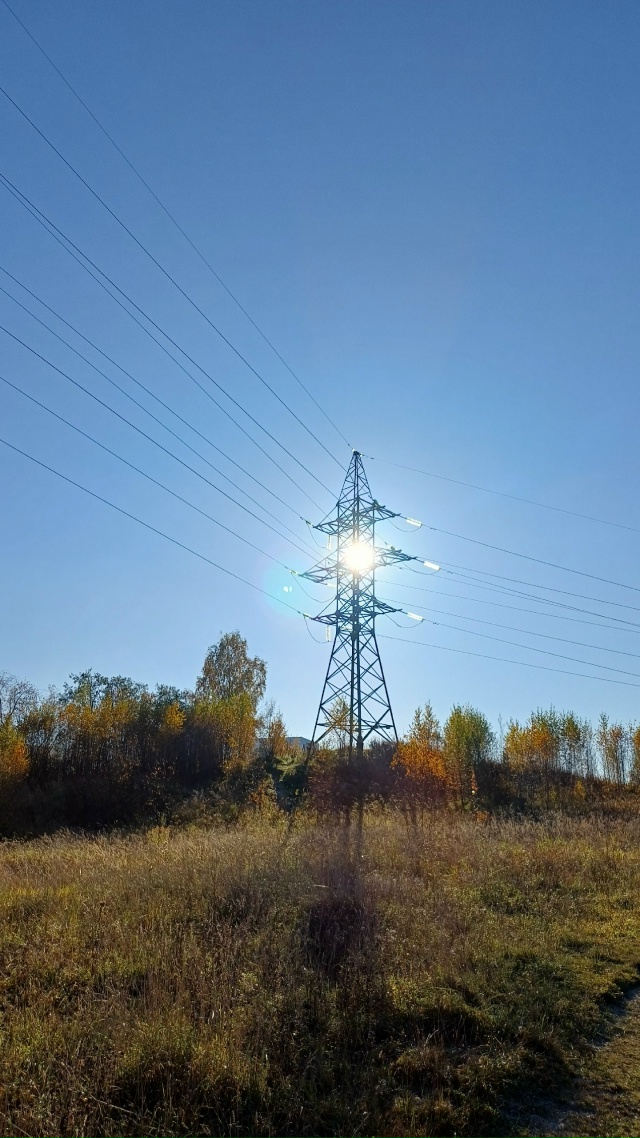 Очень классная погода👌
Особенно одуванчик) Скоро нас?...
