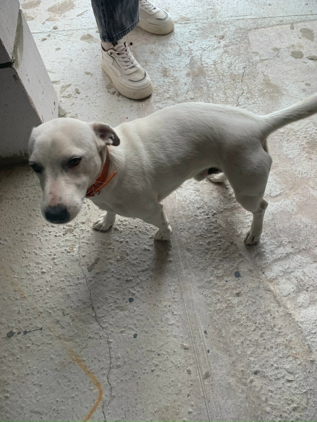 Потеряшка
Чей?
Спутник-1