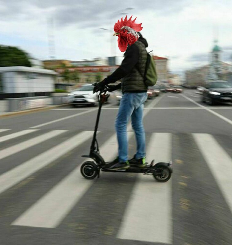 Электросамокатчикам в России могут запретить ездить по тротуарам.
Путин поручил до 1 июня рассмотр