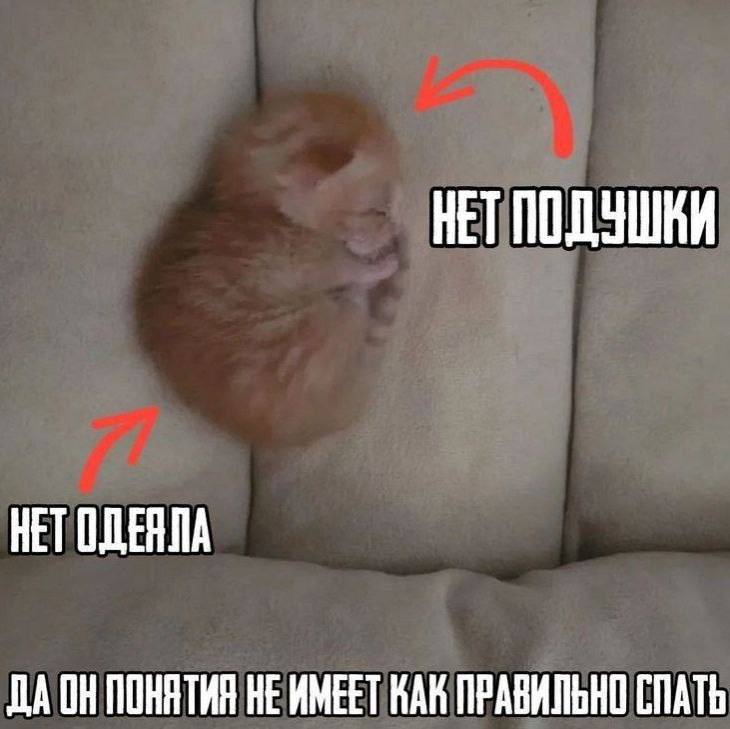 Утренняя подборочка