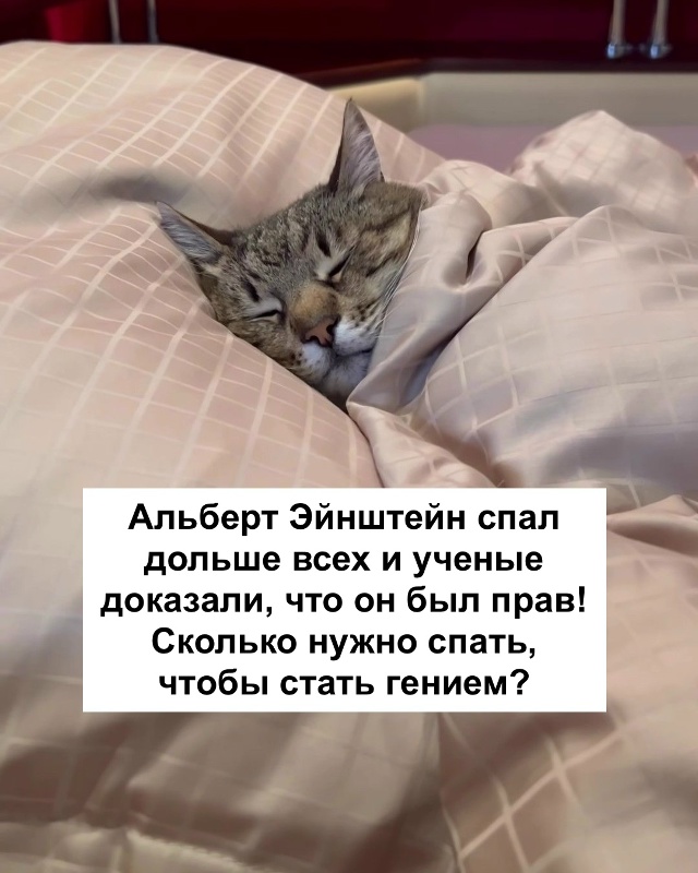 Ну, наконец-то научно доказано.