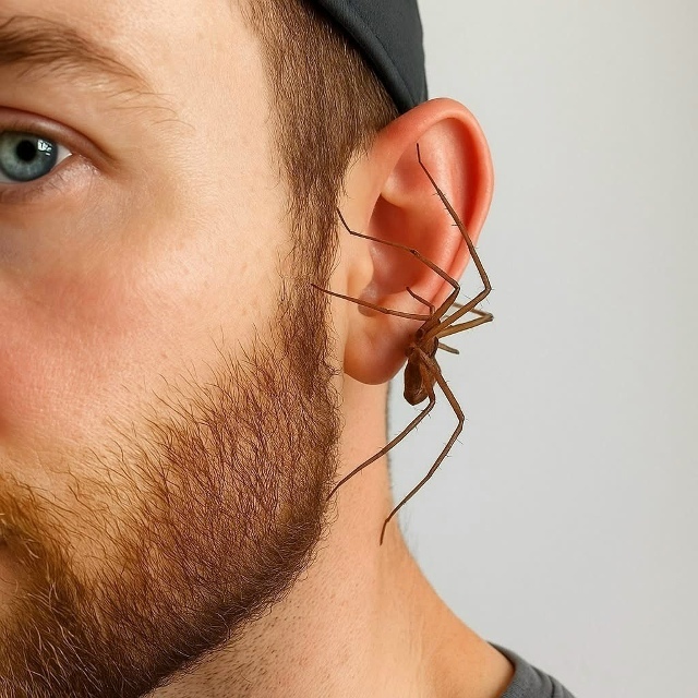 ? Сережки в виде гpoмадного ПАУКА сейчас жёстко хайпую...