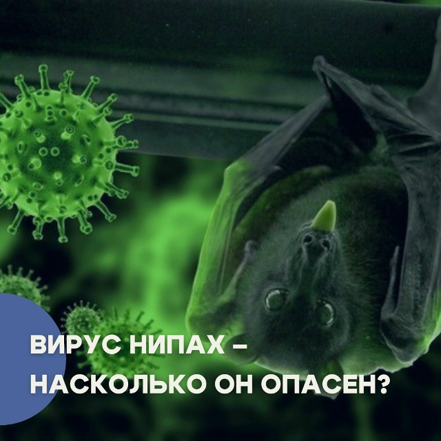 В январе власти Индии сообщили о двух новых случаях ин?...