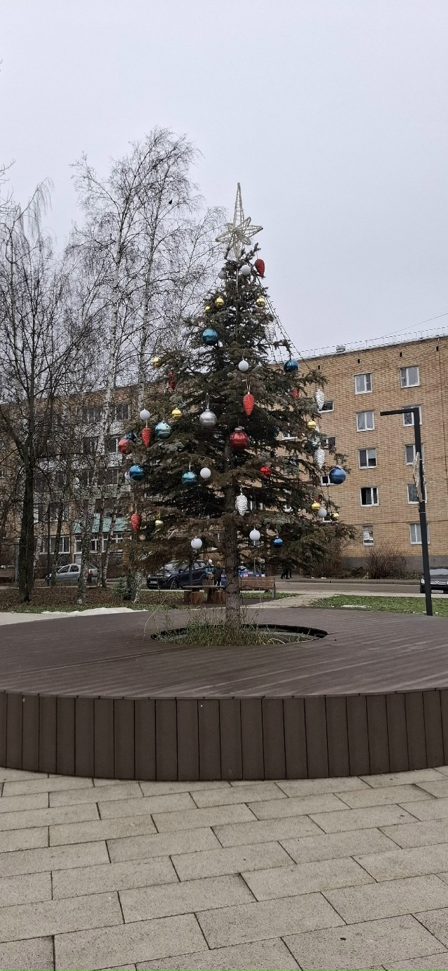 Возле почты красавицу нарядили 😂
Источник t.me/vlk_sluh/21813