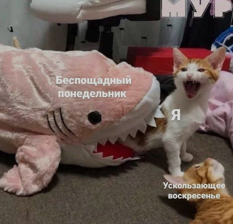 Ночная подборочка
Спать, режим