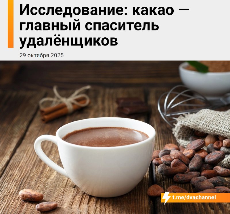 Какао — настоящий спасатель для тех, кто работает за компом
Учёные называют сидячий образ жизни «но