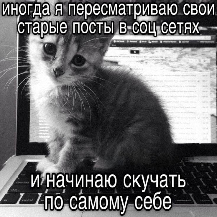 Утренняя подборочка