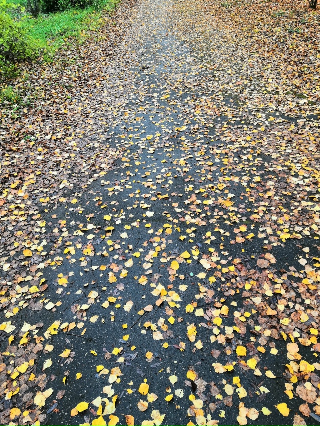 Осенняя россыпь....