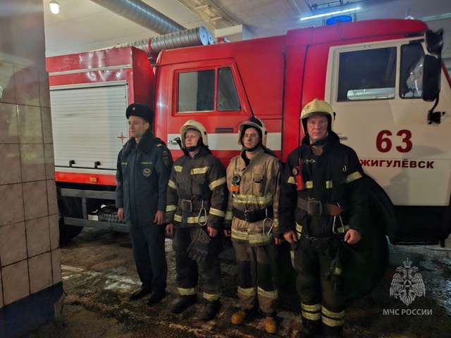 В Жигулевске подразделения МЧС России спасли мужчину ?...