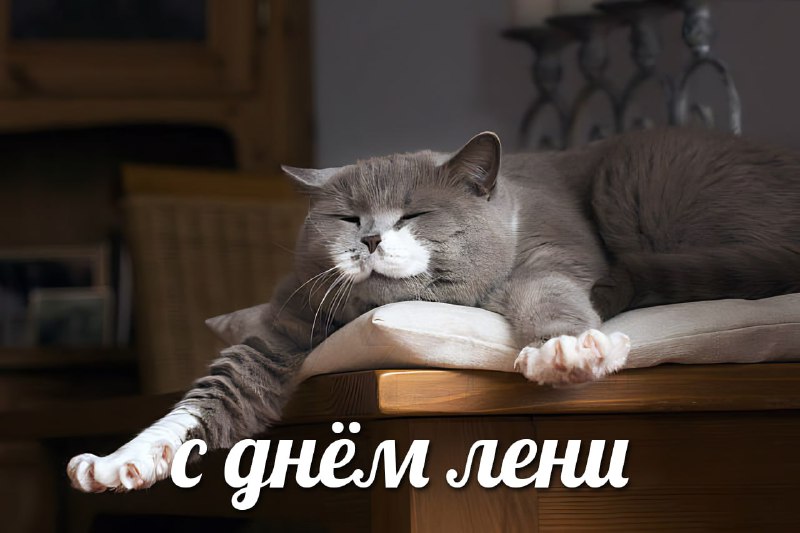 Сегодня отмечается Всемирный день лени
Отмечаем каждый день