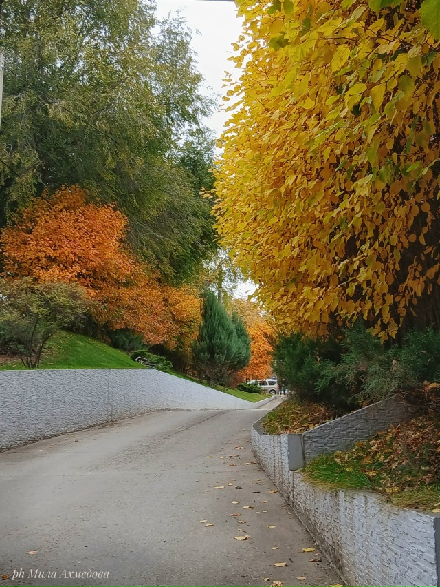 Красота в глазах смотрящего
Портпоселок 🍁🍂
Фотогра...