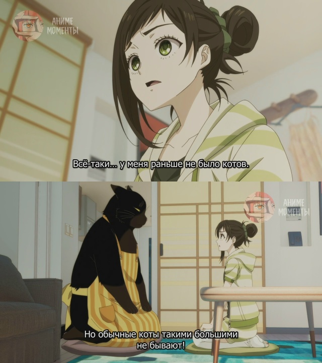 Кот, мастер на все лапки, сегодня снова грустит 🎬 2 сер?...