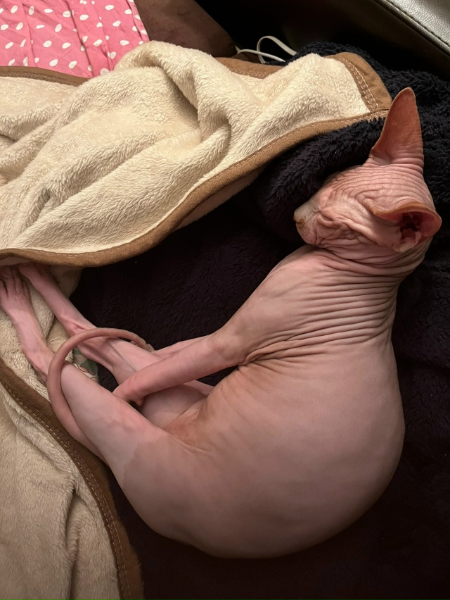 Самый всратый Лютик 🤨