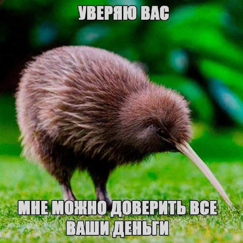 Ночная подборочка
Выходные, не спим