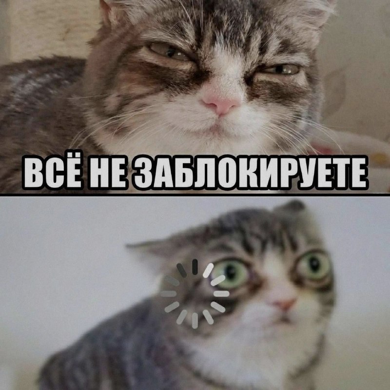 Ночная подборочка
Спать, режим