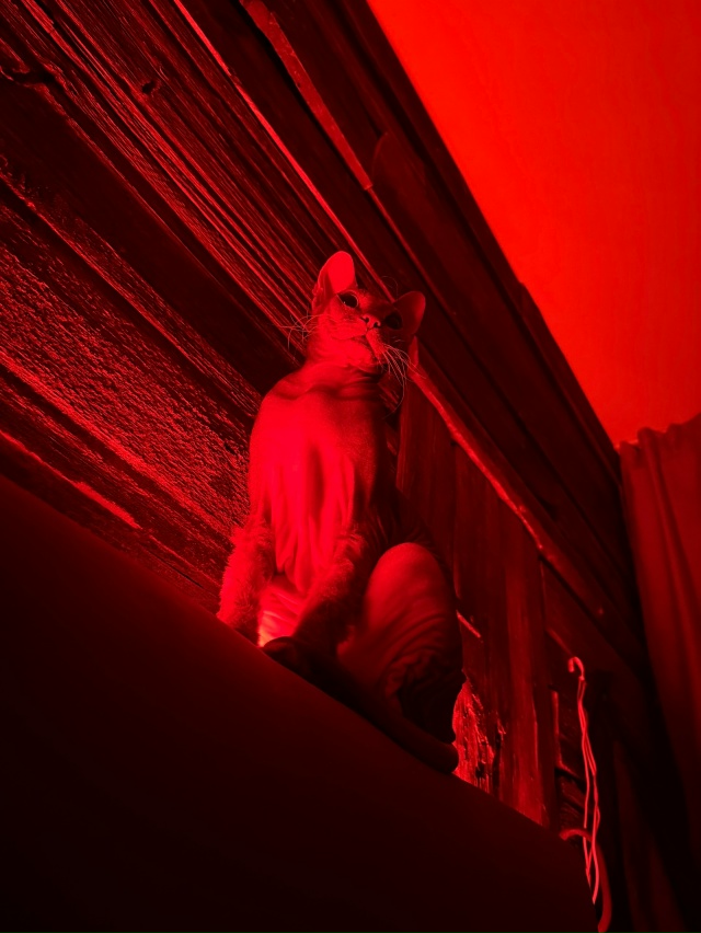 Немного любимых всратышей🫶🏻