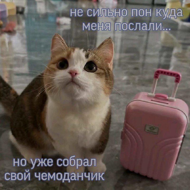 Ночная подборочка
Спать, режим