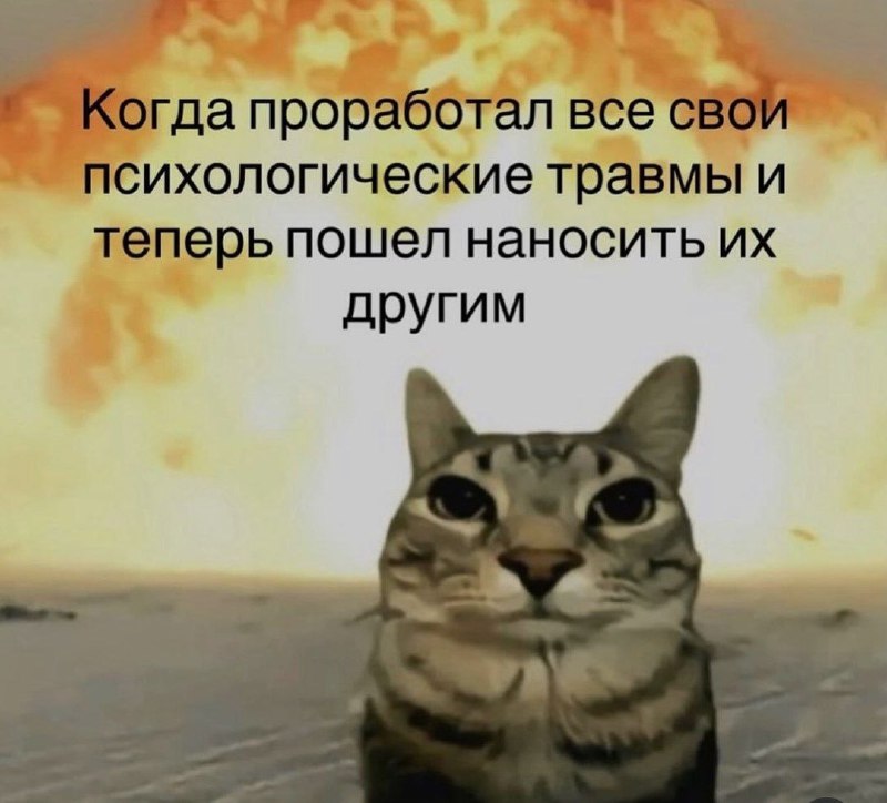 Ночная подборочка
Спать, режим