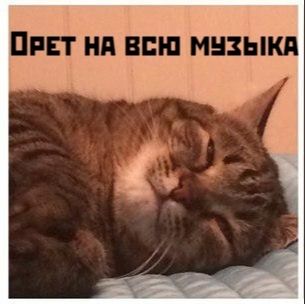 Или тихо хлопнул дверью холодильника!😊