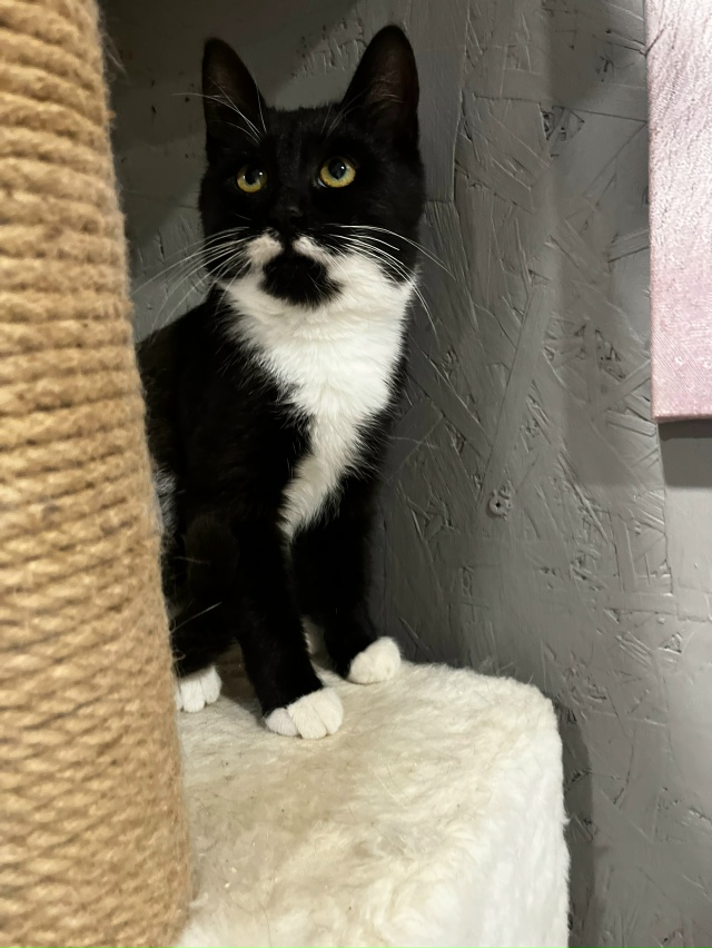 Кировск.
Подарите ребёнку дом и любящую семью 🙏🏻.
Нес...