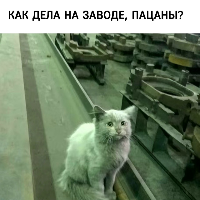 Мидер Team Spirit раскрыл размер своей зарплаты - Larl получае...