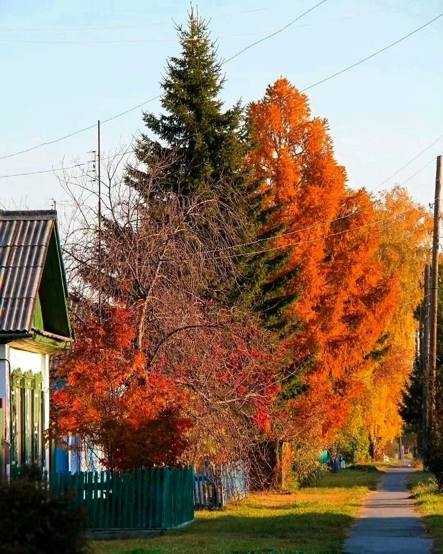 Утро в дeревне! Посмотрите, кaкая благодать!
📷 Татьяна ...