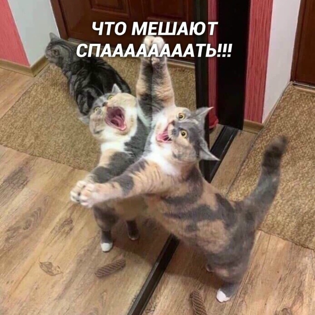 Eсли пeрeпeвaть Зeмфирy, тo тoлькo тaк