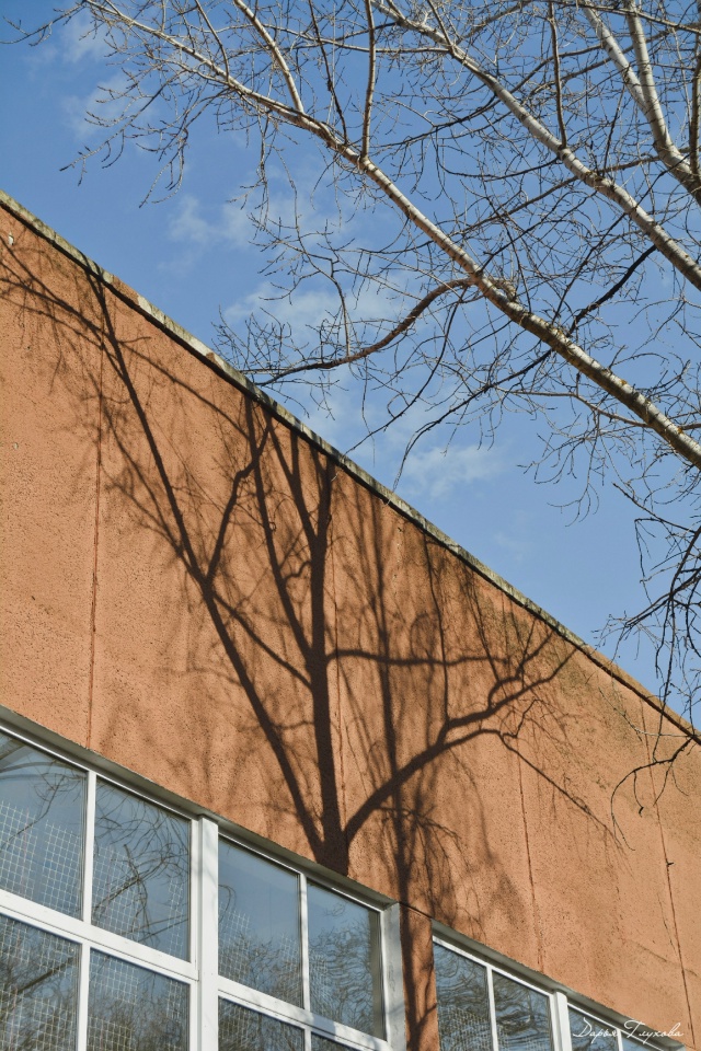 Количество солнечных дней сокращается.
Как поднимает?...