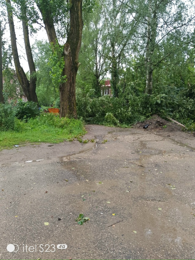 На ул Первомайская д. 1 упало дерево на проезжую часть д...