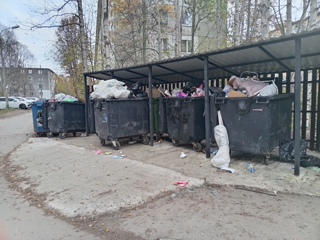 В начале лета на ул.Северной д.22 сделали контейнерную п...