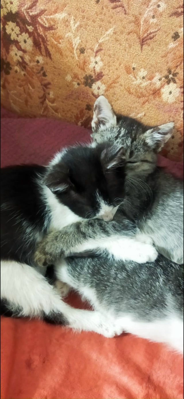 Мы сейчас живем с вами в какое то особое время,время ки?...