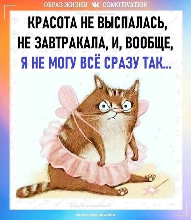 И пусть весь мир подождёт.