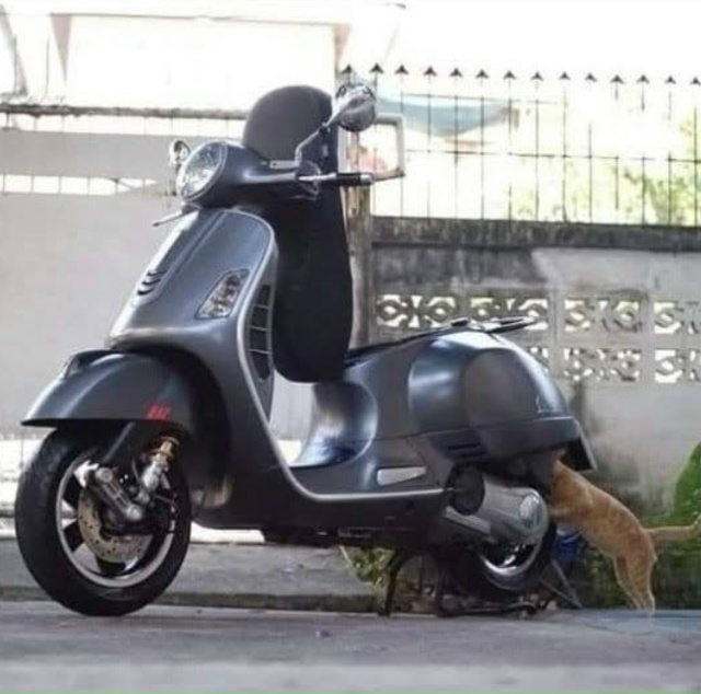 Механик устал)