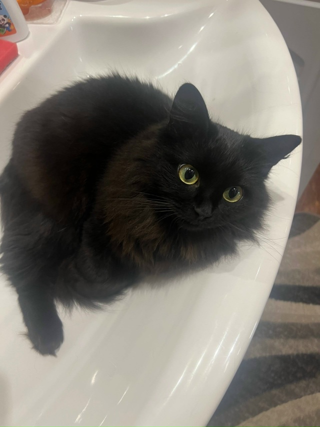 Переславль!
Здравствуйте! Помогите пожалуйста найти к?...