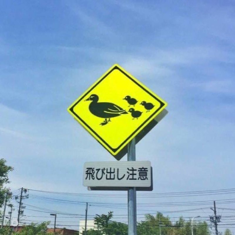 В Японии дорожные знаки предупреждают не только о поворотах и машинах, но и о животных — на трассах