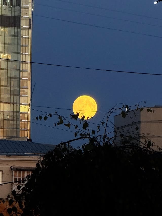 Полная луна над Екатеринбургом🌕
