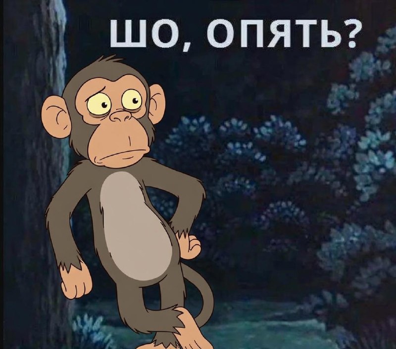 В Подмосковье госпитализировали двух россиян с оспой обезьян.
Мужчины не выезжали за границу, что