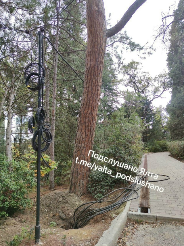 Как там Массандровский парк?
Кто-то знает когда открое?...