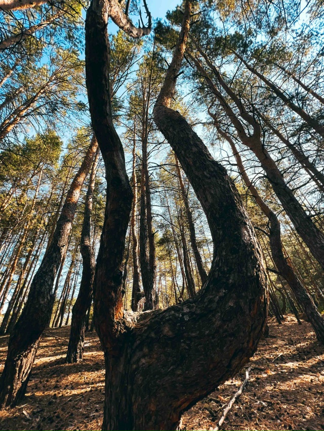 Красивые места Самарской области ❤️